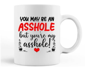 You're My Assh*le Mug